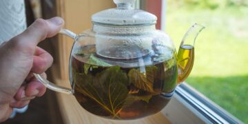 6 Best Methods You Can Adopt To Make Kratom Tea