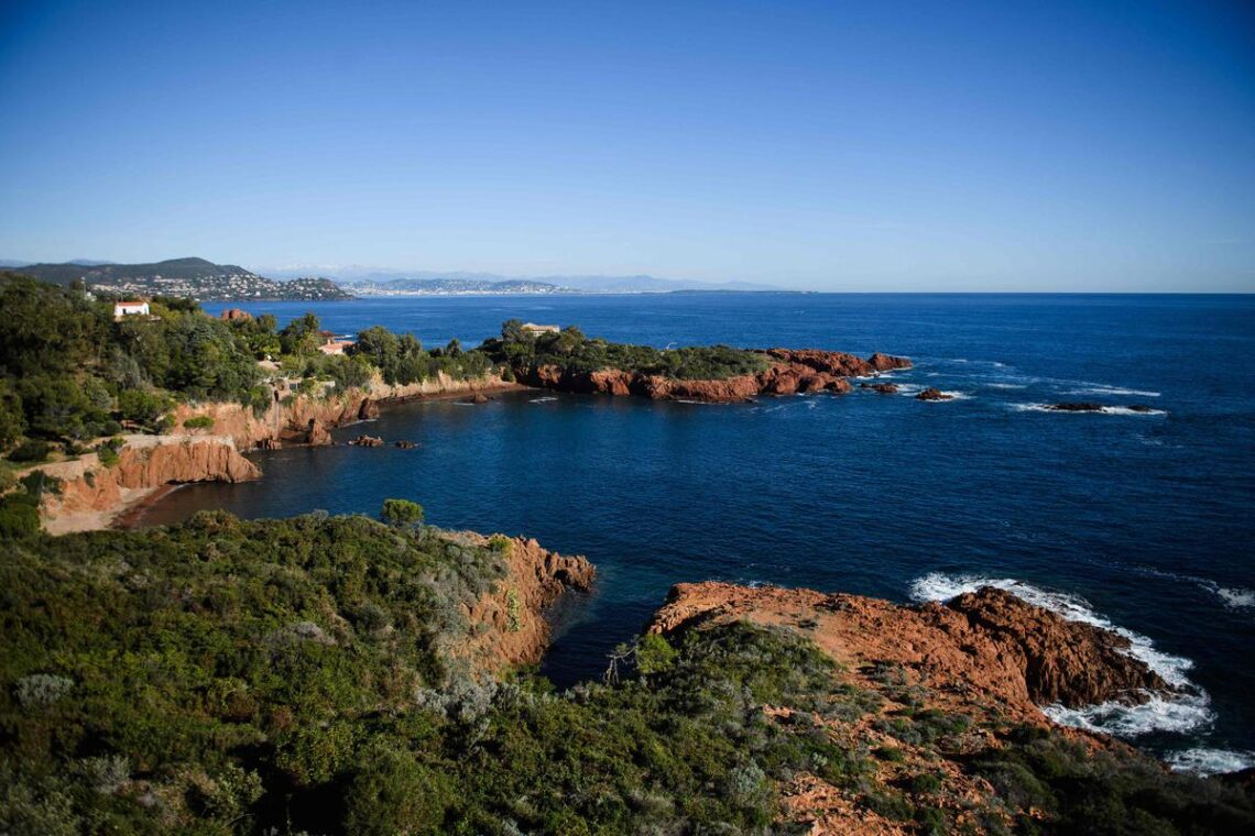 COP15 biodiversity meeting seeks to save ‘planet in crisis’