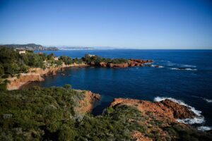 COP15 biodiversity meeting seeks to save ‘planet in crisis’