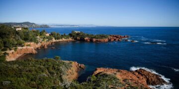 COP15 biodiversity meeting seeks to save ‘planet in crisis’