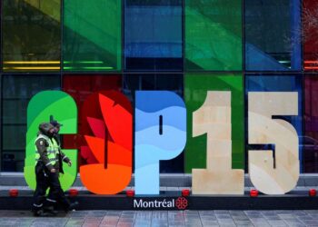 Historic biodiversity deal gets the nod at COP15 summit in Canada