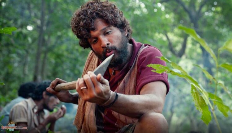 Reasons To Watch Pushpa On Amazon Prime Video