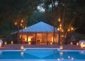 Top Wildlife Resorts In India For An Exciting Stay