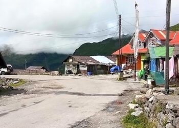 China, Bhutan officials meet in Kunming, agree to ‘push forward’ boundary talks