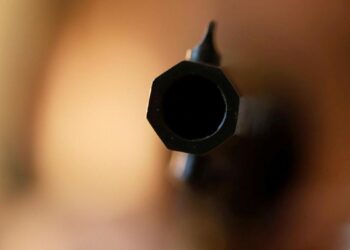 Eight killed in mass shooting at birthday party in South Africa