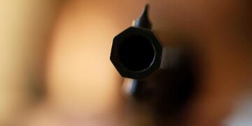 Eight killed in mass shooting at birthday party in South Africa