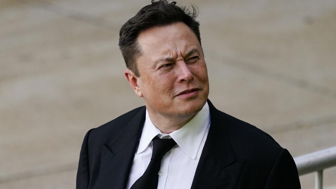 Elon Musk takes witness stand to defend Tesla buyout tweets