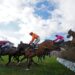aintree grand national