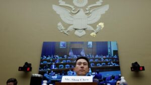 China says does not ask firms for foreign data as TikTok row grows