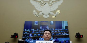 China says does not ask firms for foreign data as TikTok row grows