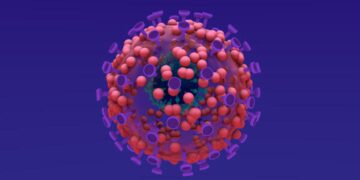 Covid-19 found in raccoon dogs in China, strengthens natural origin theory: Report