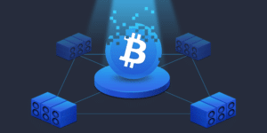 How Does Bitcoin Work – An Overview of The Technical Workings of Bitcoin