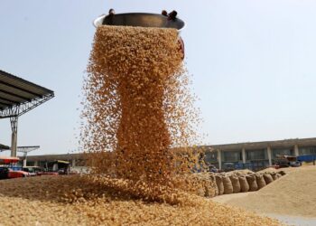 India to send 20,000 MT of wheat to Afghanistan via Chabahar