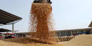 India to send 20,000 MT of wheat to Afghanistan via Chabahar