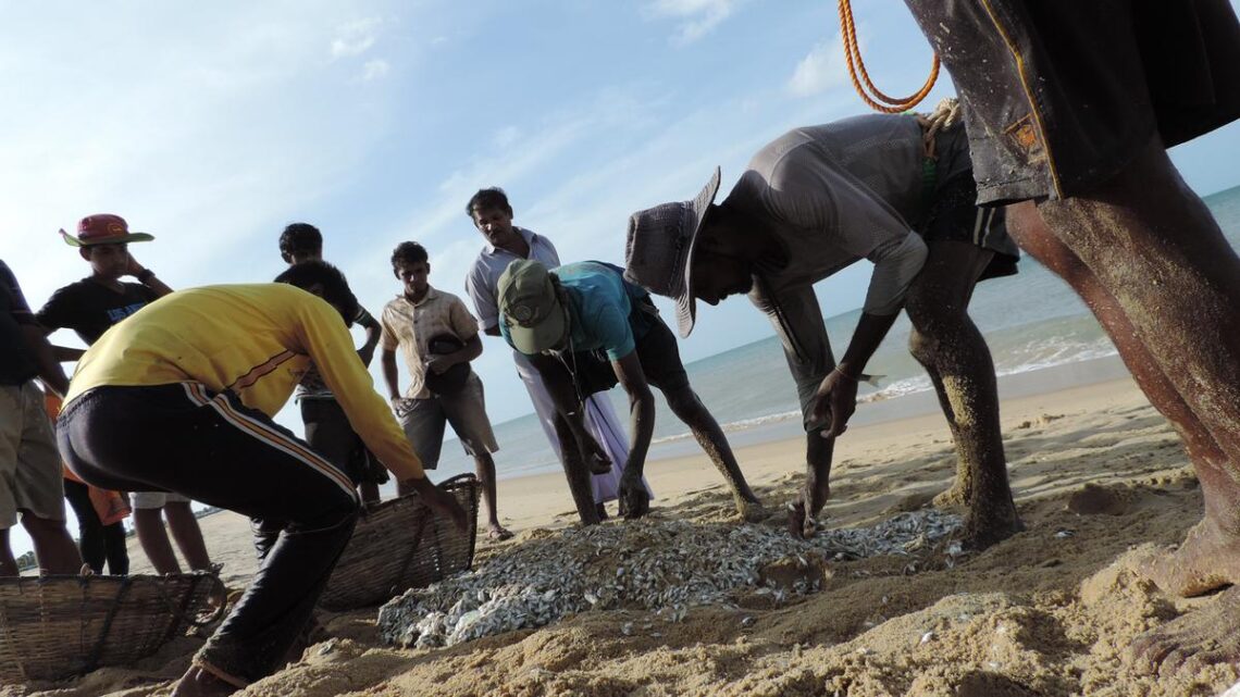 Sri Lanka’s northern fishermen ‘fiercely oppose’ proposal to issue licence to Indian fishermen