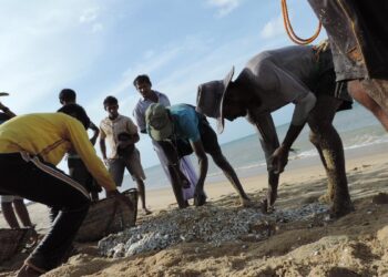 Sri Lanka’s northern fishermen ‘fiercely oppose’ proposal to issue licence to Indian fishermen