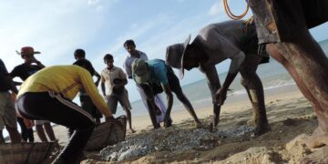 Sri Lanka’s northern fishermen ‘fiercely oppose’ proposal to issue licence to Indian fishermen