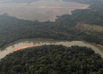 Amazon forests save $2 billion in pollution healthcare: study