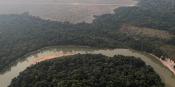Amazon forests save $2 billion in pollution healthcare: study