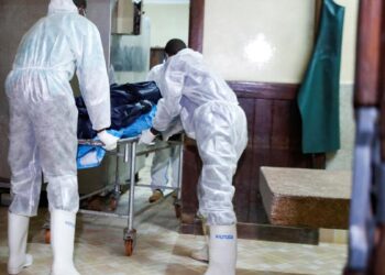 Kenya cult death toll rises to 95 as government sets curfew