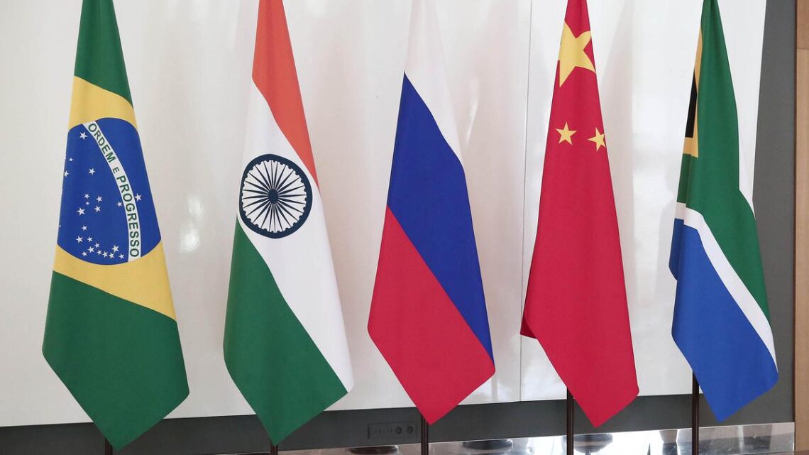 South Africa grants Vladimir Putin, other Russian officials diplomatic immunity for BRICS summit