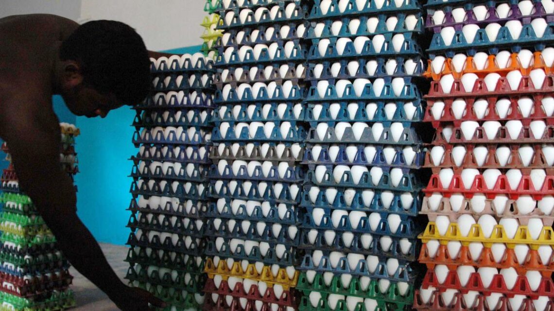 Sri Lanka to import 1 million eggs daily from India to meet market demand