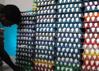 Sri Lanka to import 1 million eggs daily from India to meet market demand