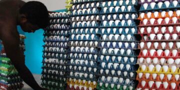 Sri Lanka to import 1 million eggs daily from India to meet market demand