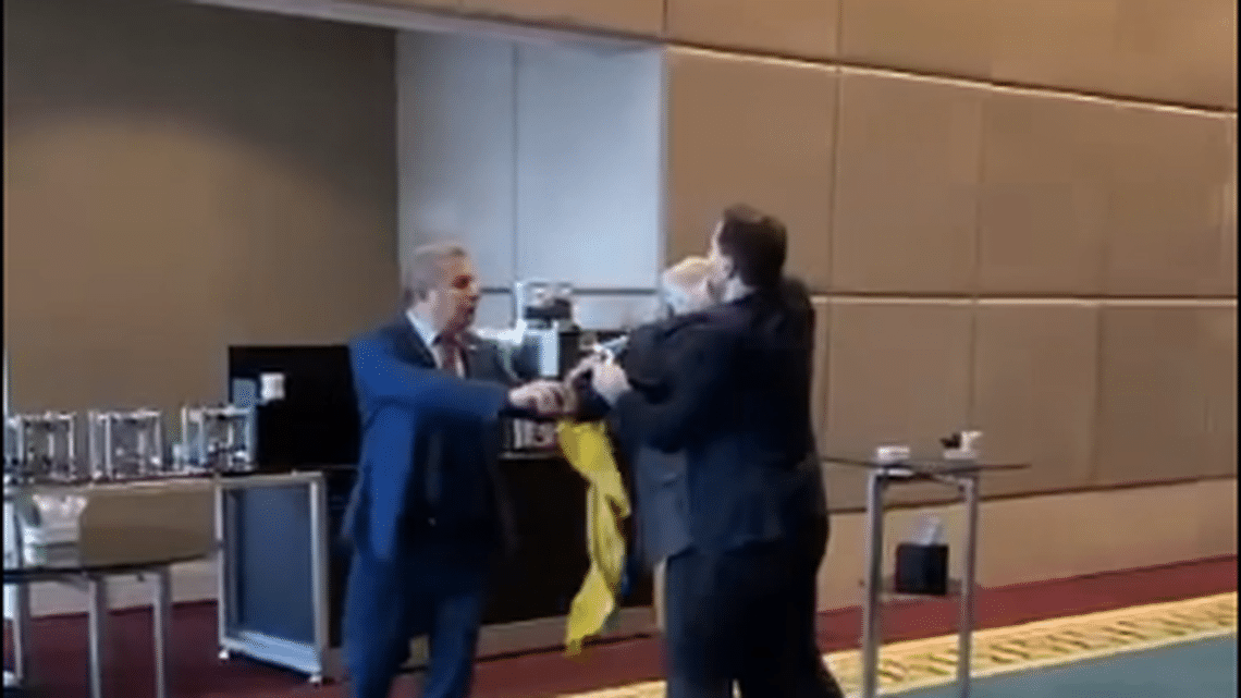 Ukraine delegate punches Russian at Black Sea nations assembly in Ankara