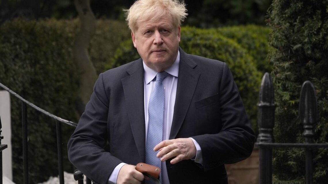Boris Johnson rewards allies and a hairdresser with honours as critics cry foul