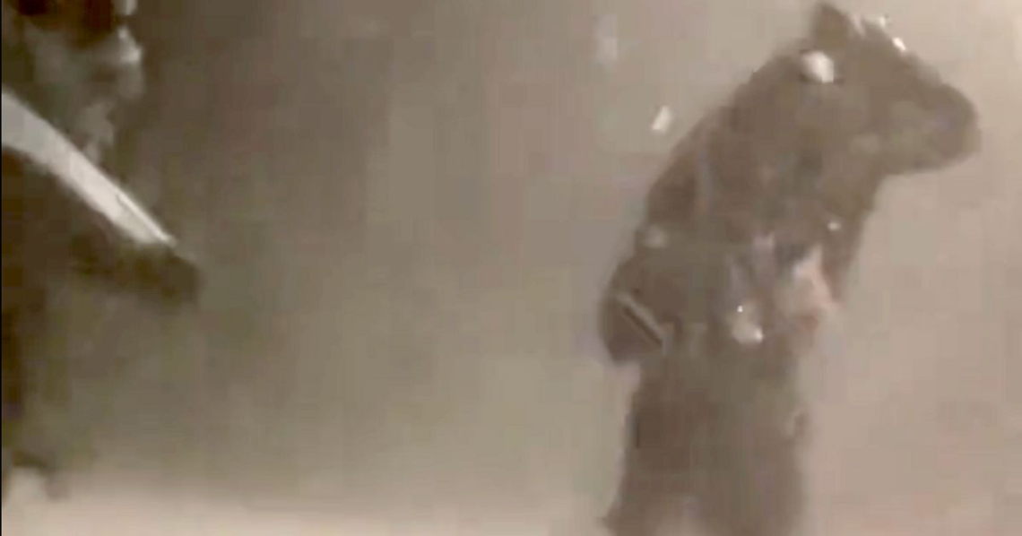 Dozens Injured After ‘Golf Ball-Size’ Hail Pours Down On Colorado Concertgoers