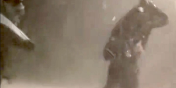 Dozens Injured After ‘Golf Ball-Size’ Hail Pours Down On Colorado Concertgoers