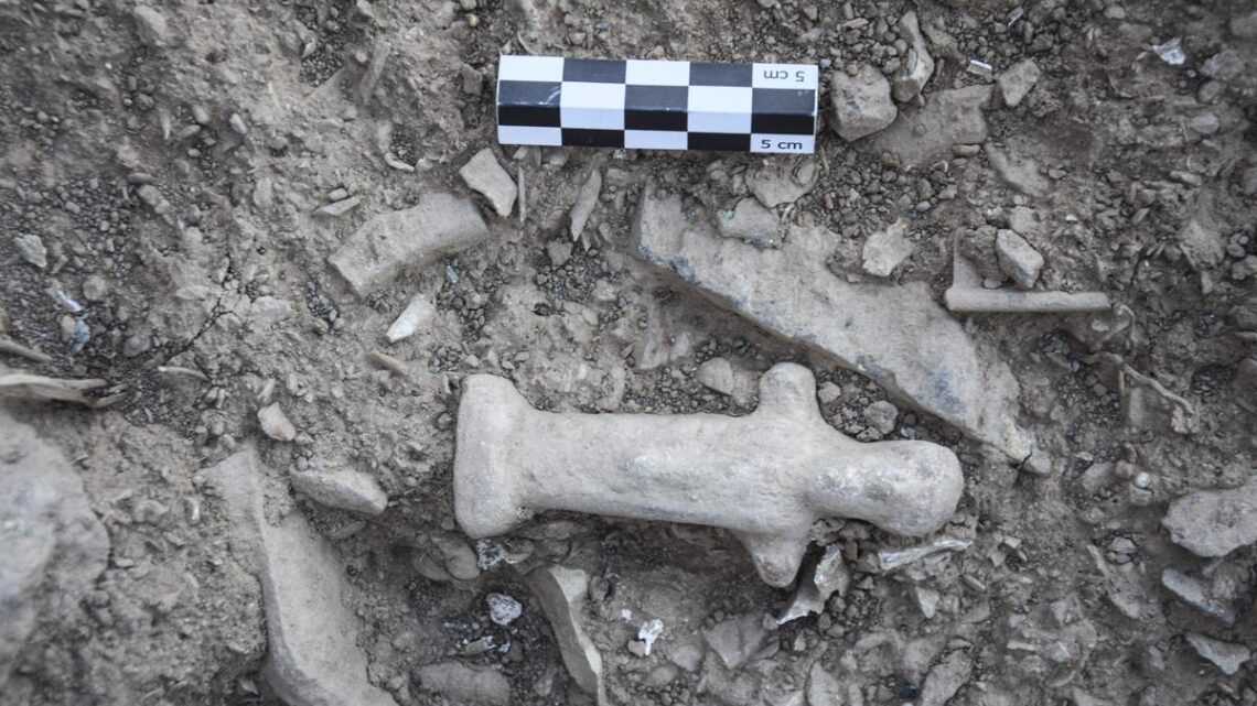 Greek island temple complex reveals ‘countless’ offerings left by ancient worshippers Greek island temple complex reveals ‘countless’ offerings left by ancient worshippers