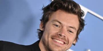 Harry Styles Pauses Show So Pregnant Woman Can Pee And Not Miss A Song