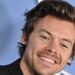 Harry Styles Pauses Show So Pregnant Woman Can Pee And Not Miss A Song