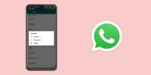 How To Hide Your Whatsapp Last Seen From Strangers