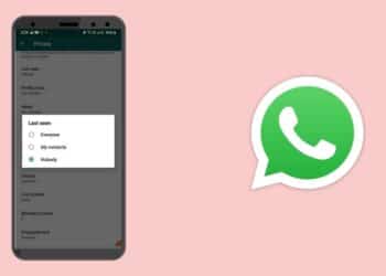 How To Hide Your Whatsapp Last Seen From Strangers