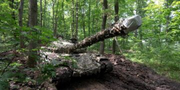 Ukraine reports advances in early stages of counterattack