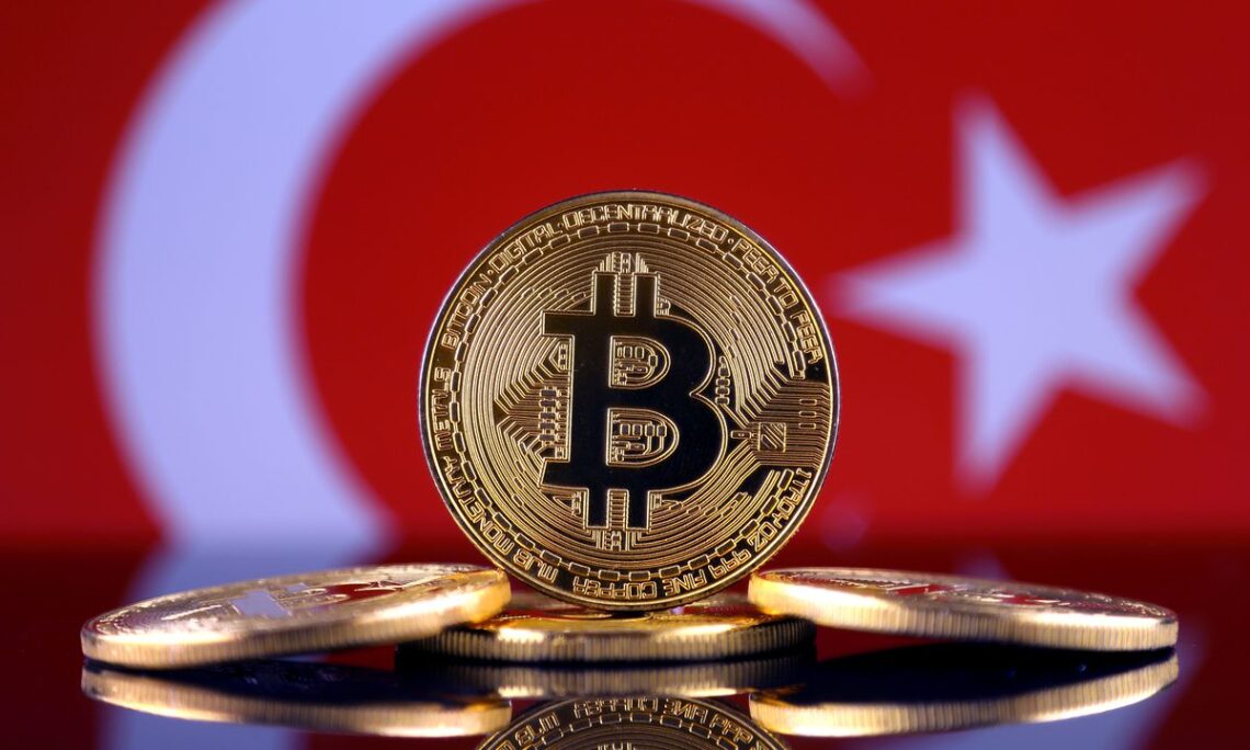 Bitcoin Investment Progress for this Decade in Turkey