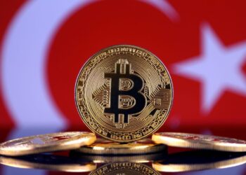 Bitcoin Investment Progress for this Decade in Turkey