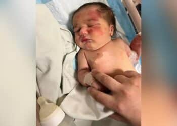 Abandoned baby girl in Lebanon found in garbage bag being carried by stray dog: report
