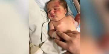 Abandoned baby girl in Lebanon found in garbage bag being carried by stray dog: report