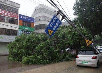 Typhoon Talim ravages through China, suspending public transit, schools