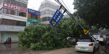 Typhoon Talim ravages through China, suspending public transit, schools