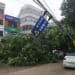 Typhoon Talim ravages through China, suspending public transit, schools