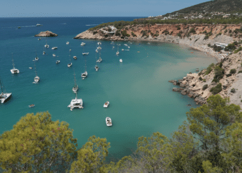 Vacationers turned away from beach oasis after stomach-churning discovery made in water