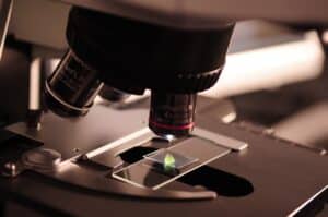 Embarking on a Lilliputian Rivalry: A Microscopic Journey