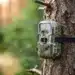 How to Maximize Trail Camera Efficiency with the Right SD Card