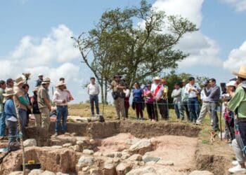 Archaeologists in northern Peru unearth 3,000-year-old tomb believed to honor priest