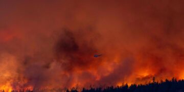 Canada's British Columbia declares state of emergency as thousands are forced to evacuate Kelowna